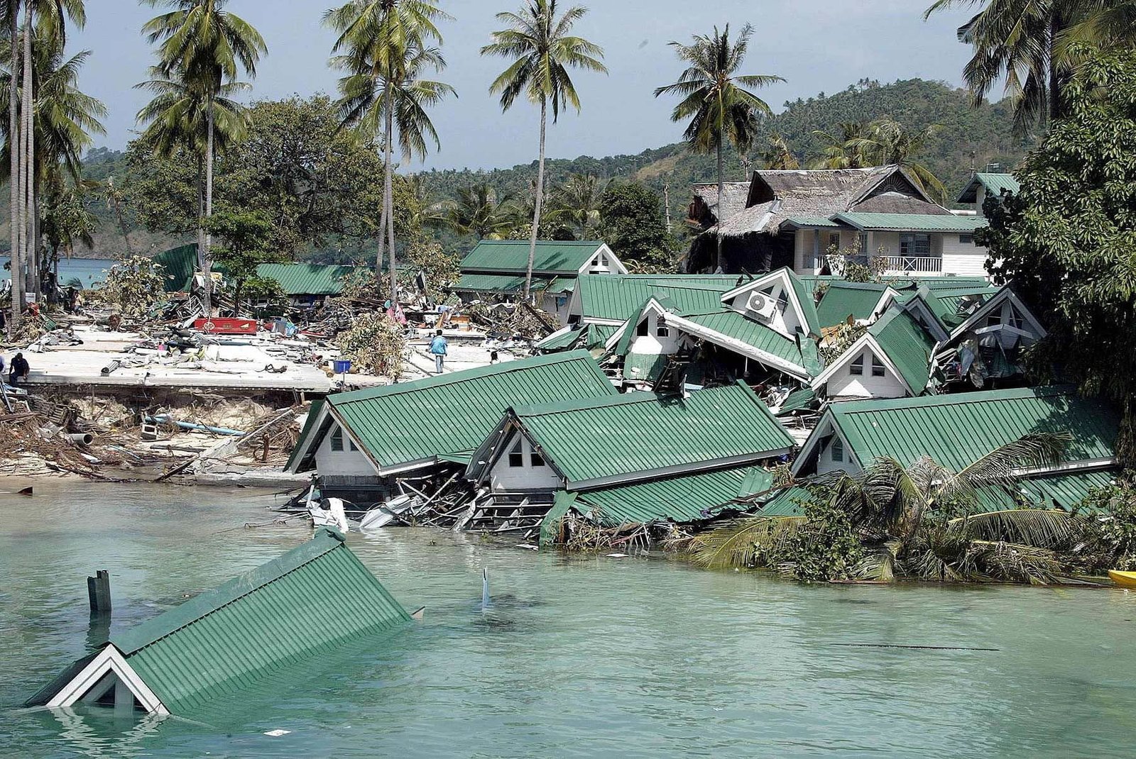 How Do I Describe A Tsunami