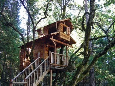 Build Your Own Tree House