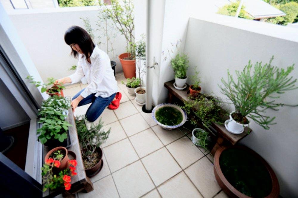 Turn Your Balcony into a Garden | How To Build A House