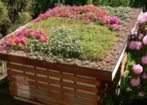 The New Green Spaces in Cities – The GREEN ROOFS