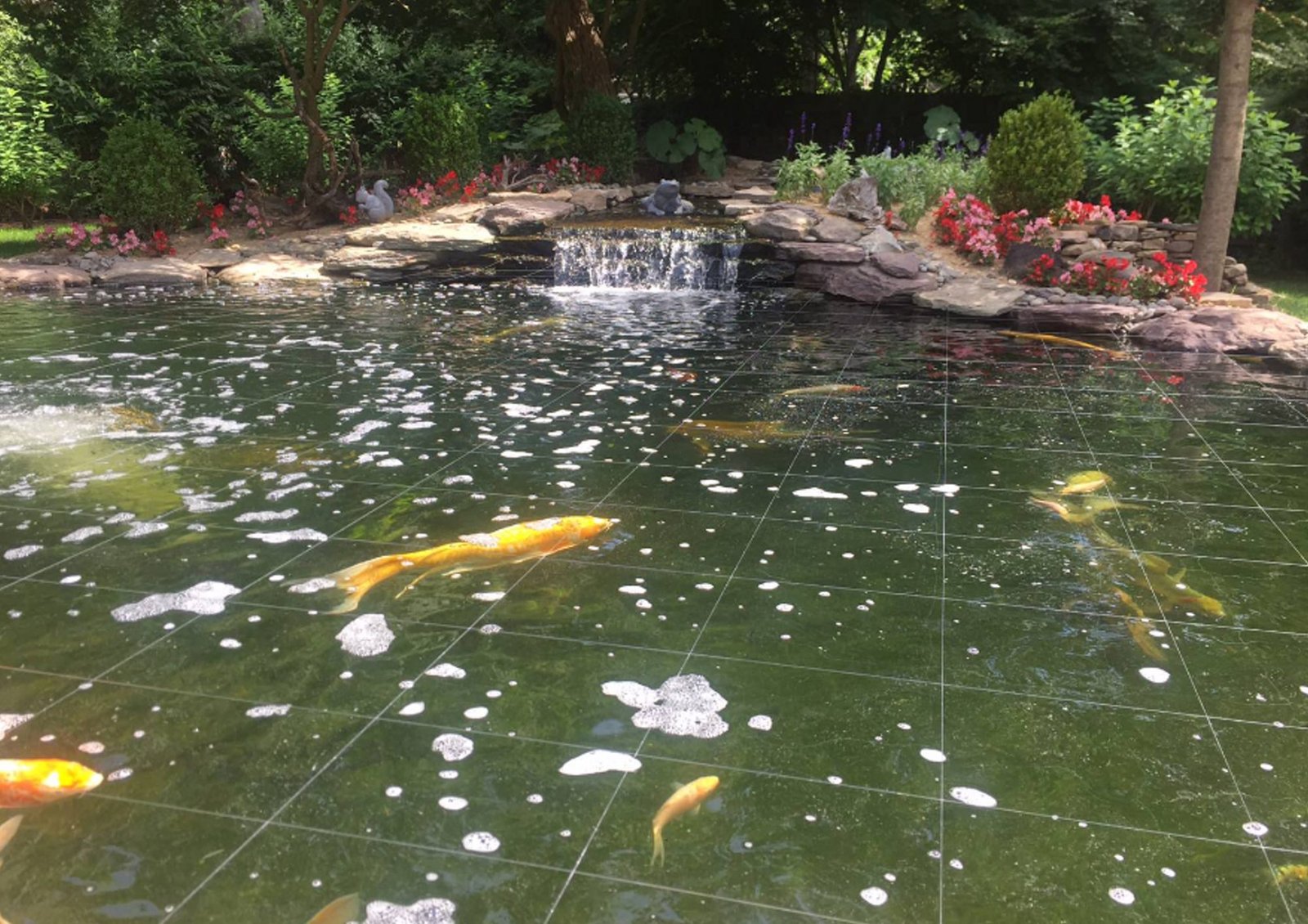 Building a Fish Pond in Your Backyard