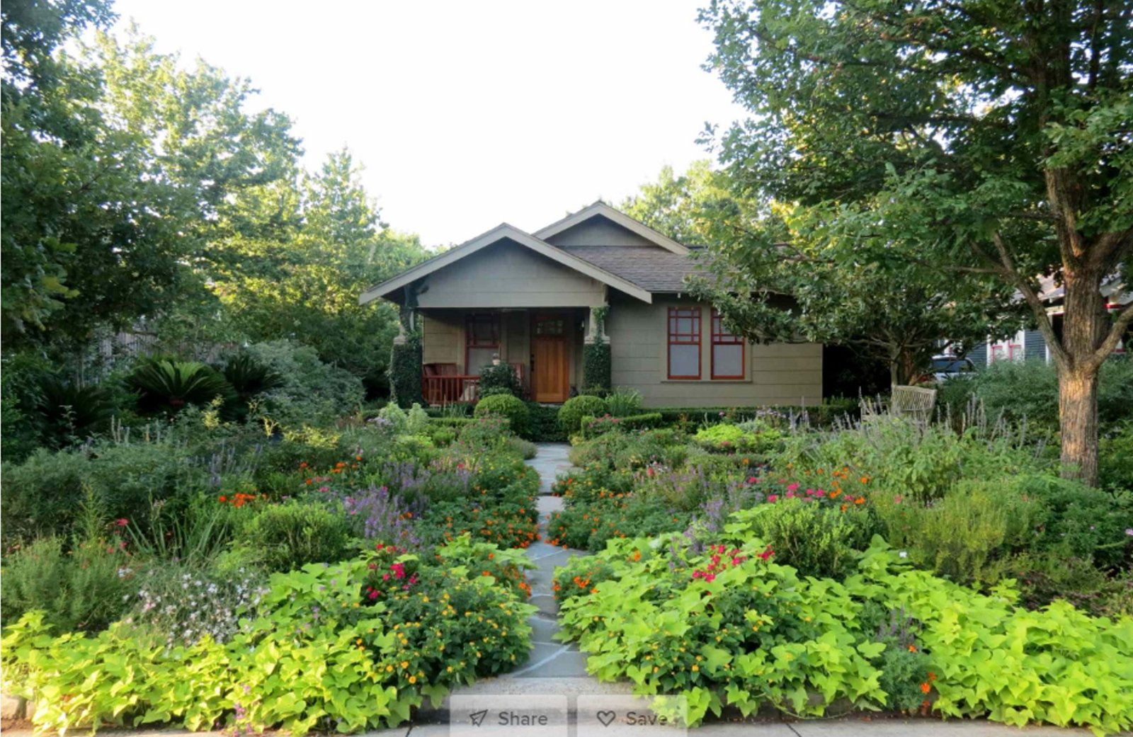 How to Get Rid of Yard Moles