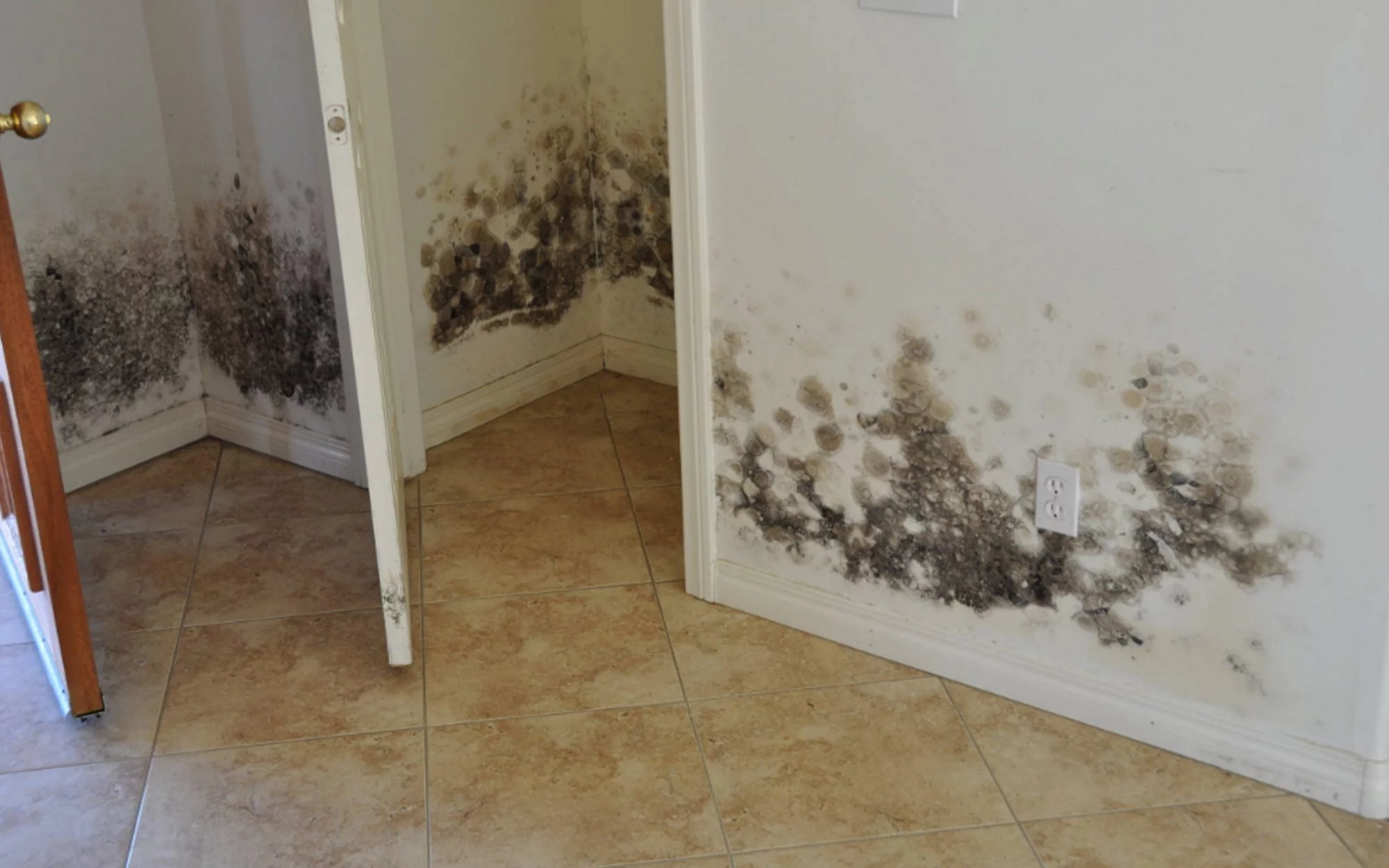 How to Stop the Mold in Your Bathroom Before It Starts How to Stop the Mold in Your Bathroom Before It Starts