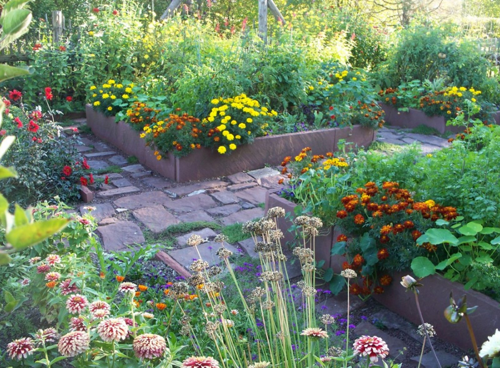 Keep Your Garden Free From Pests Keep Your Garden Free From Pests