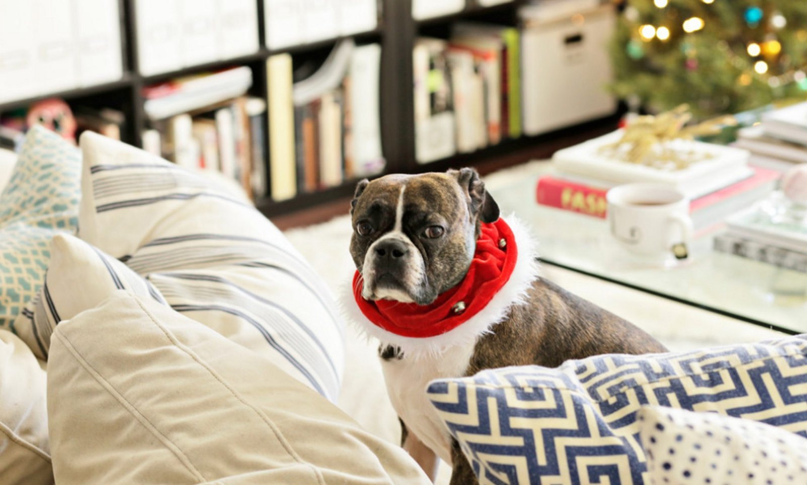 Smart Ideas for Your Home Smart Ideas for Your Home