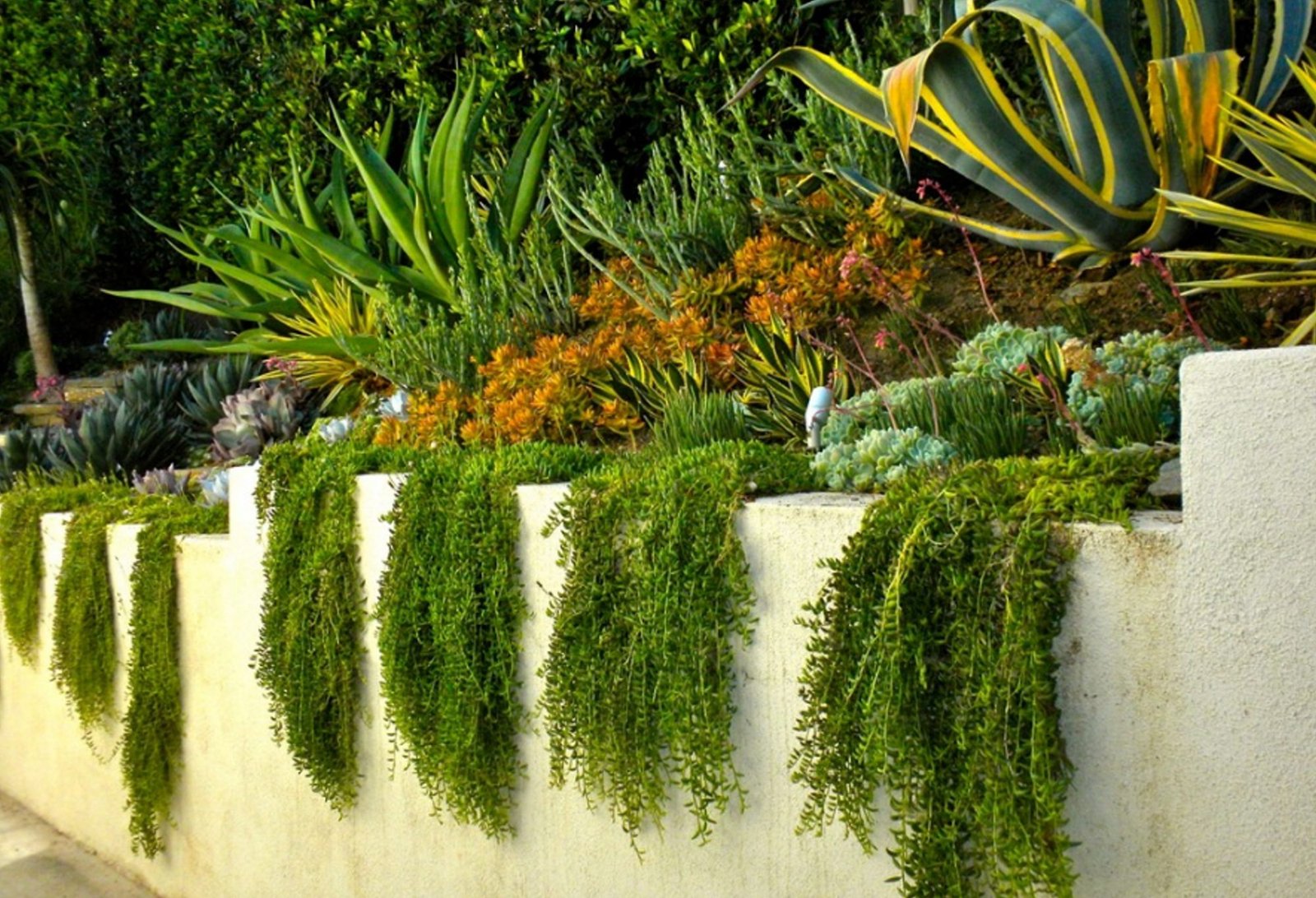 Landscape Retaining Wall Types Landscape Retaining Wall Types