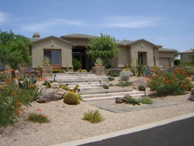 Plants for Dry Areas | Desert Landscaping | How To Build A House