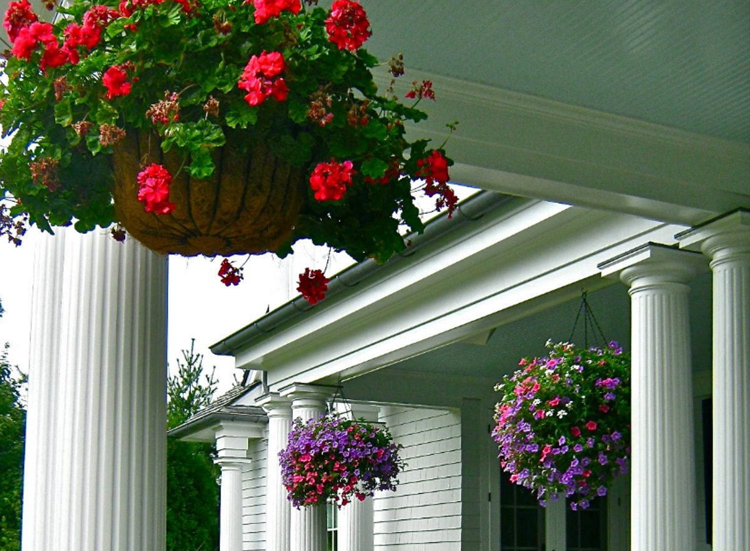 How to Maintain the Beauty and Health of Your Flower Hanging Baskets