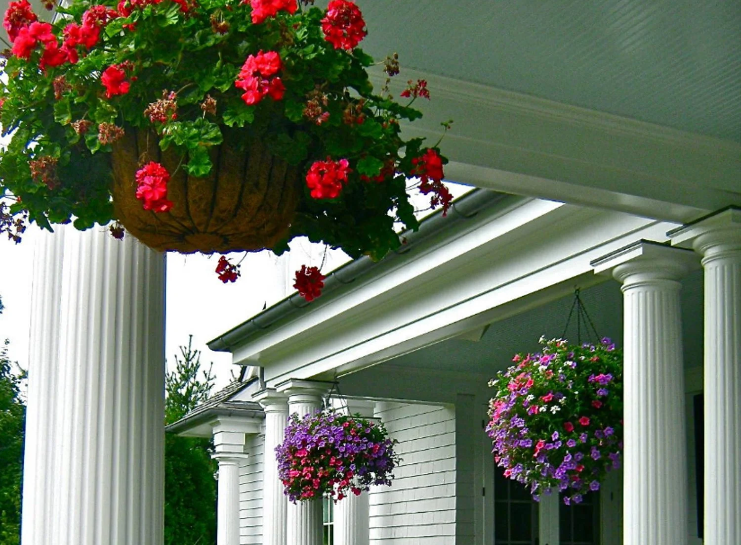 How to Maintain the Beauty and Health of Your Flower Hanging Baskets How to Maintain the Beauty and Health of Your Flower Hanging Baskets