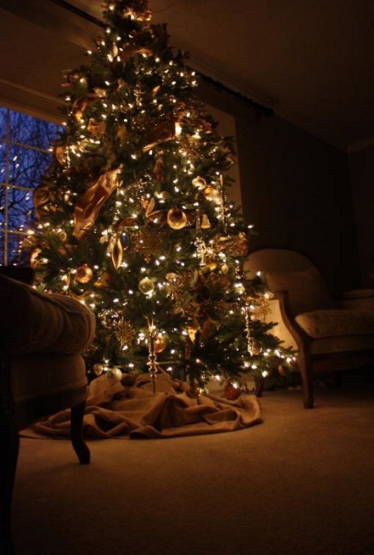 5 Reasons in Favor and Against Natural Christmas Tree 5 Reasons in Favor and Against Natural Christmas Tree