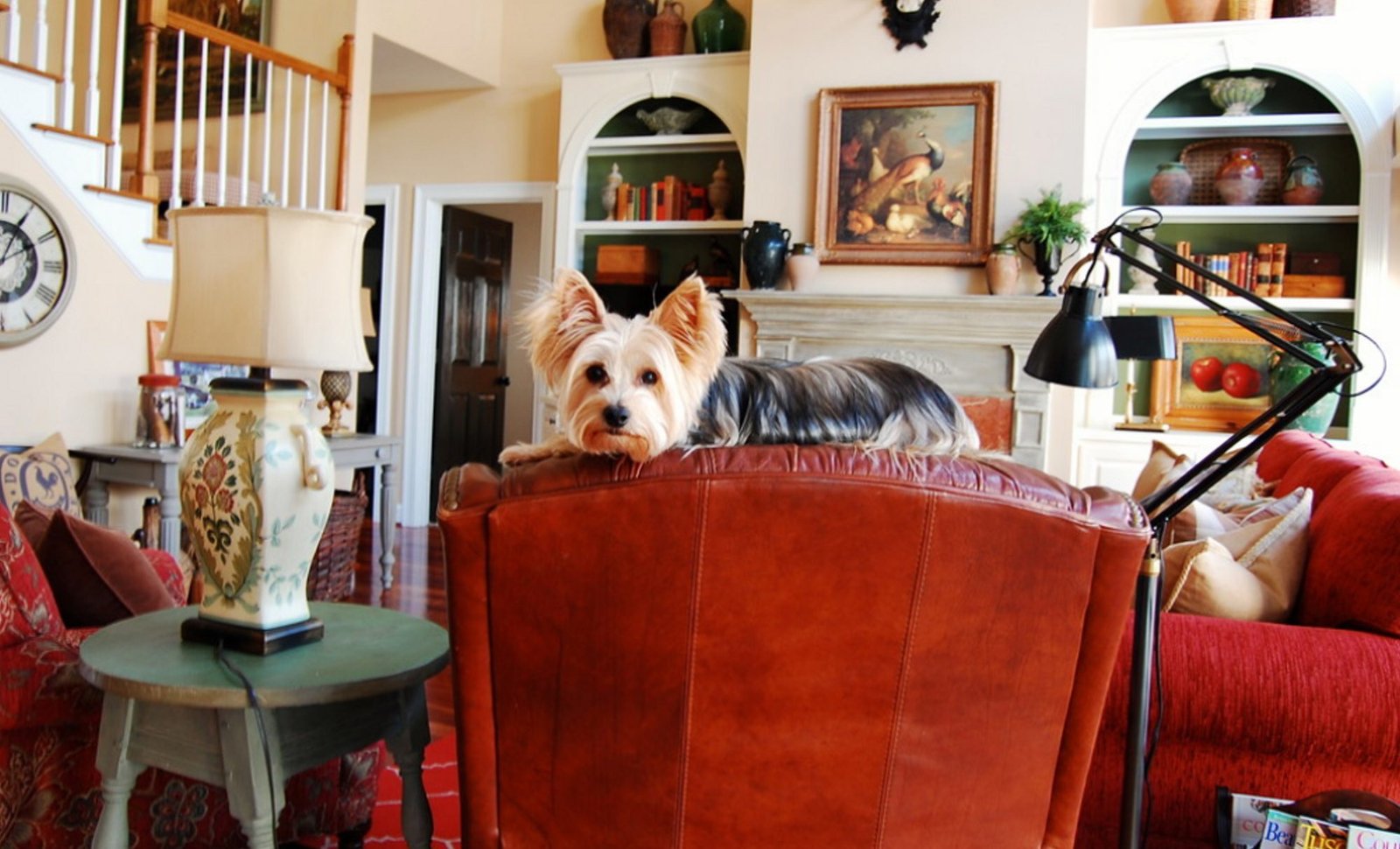 Are You the Right Person to Adopt a Pet? Are You the Right Person to Adopt a Pet?