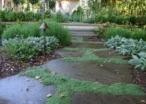 How to Add or Redo Walkways in Your Yard