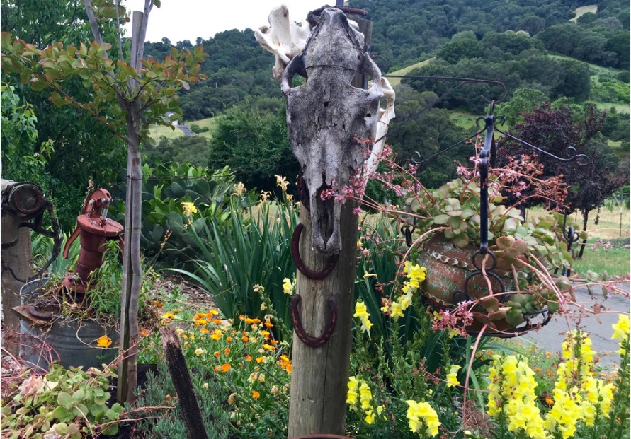 Old Objects Give a New Life to Your Garden