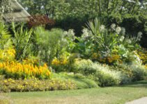 Beautiful Gardens | Rocks, Woods, Plants and Monkey Tree Beautiful Gardens | Rocks, Woods, Plants and Monkey Tree