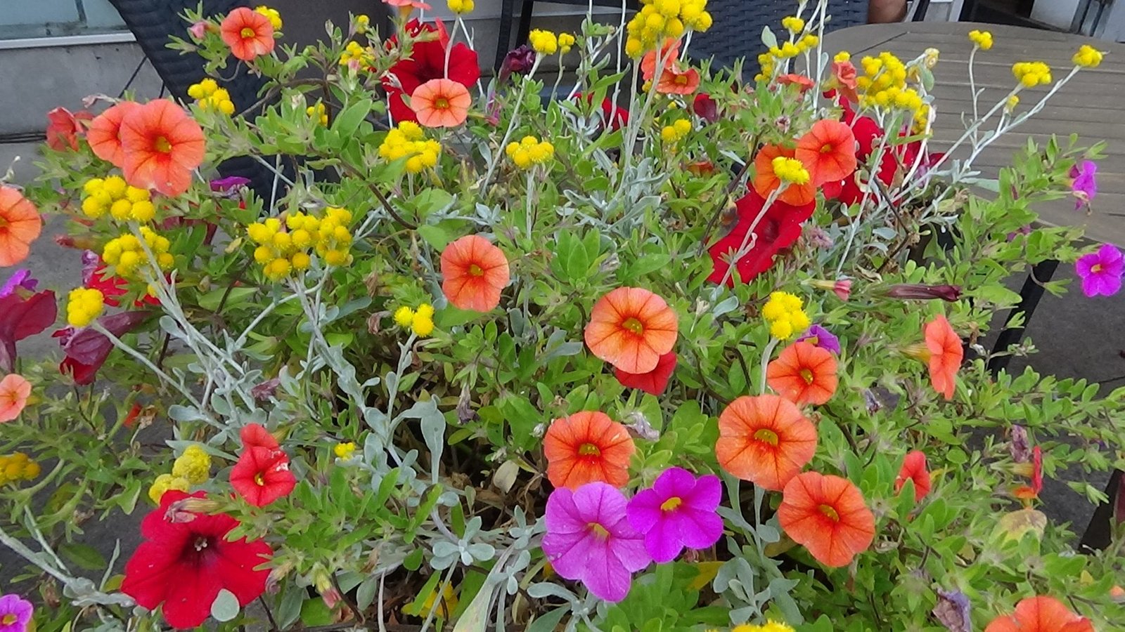 Your Garden May Help You Sell Your Home