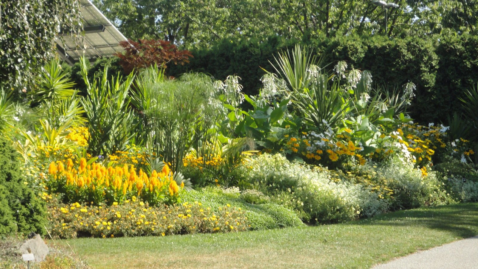 Simple Steps to Have an Organic Garden Simple Steps to Have an Organic Garden