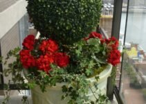 Great Ways to Decorate with Plants, Home Decorating Ideas (part 1) Great Ways to Decorate with Plants, Home Decorating Ideas (part 1)