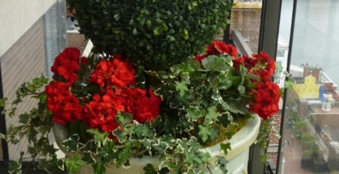 Great Ways to Decorate with Plants, Home Decorating Ideas (part 1)