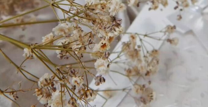 <strong>“Everlasting Flowers” – A new home decorating trend</strong>