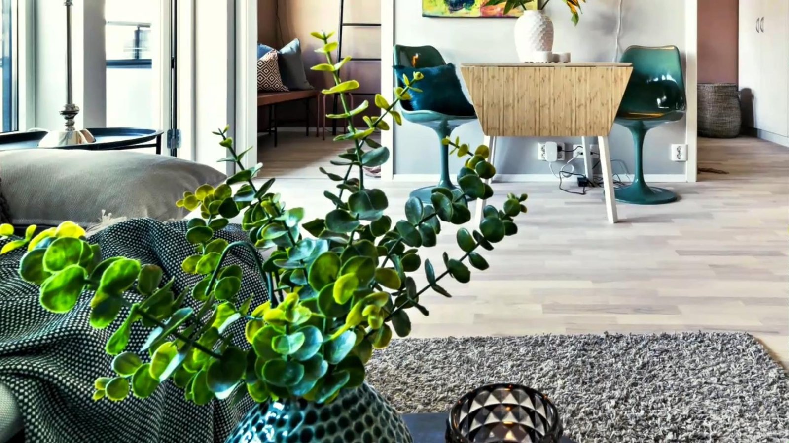 Spice Things Up with Plants! Simple Decorating Ideas 👍😀