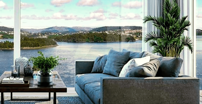 <strong>Discover several indoor plants to place in your home (part 1)</strong>