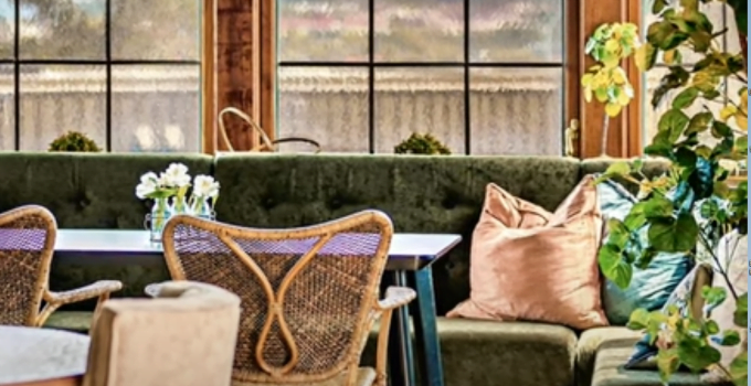 <strong>Discover several indoor plants to place in your home (part 2)</strong>