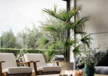 <strong>Add Indoor Plants to the Living Room Décor to Spruce Up the Space</strong>