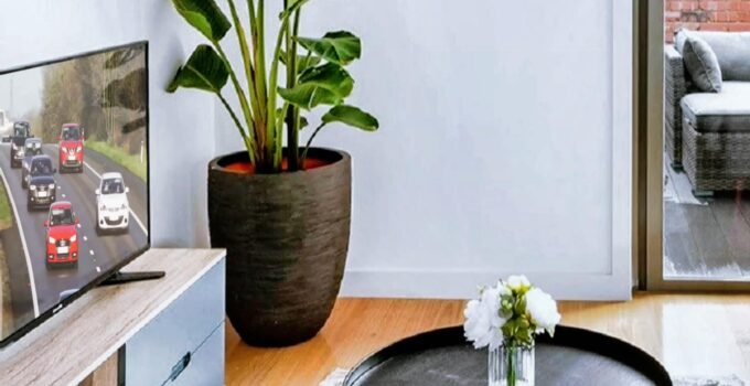Floor Standing Vases and Large Plant Pots for Stylish Décor