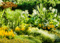 Smart tips for a sustainable garden (part 1) Smart tips for a sustainable garden (part 1)