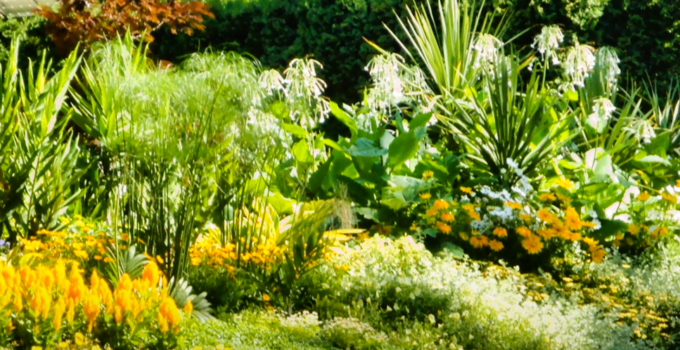 Smart tips for a sustainable garden (part 1)