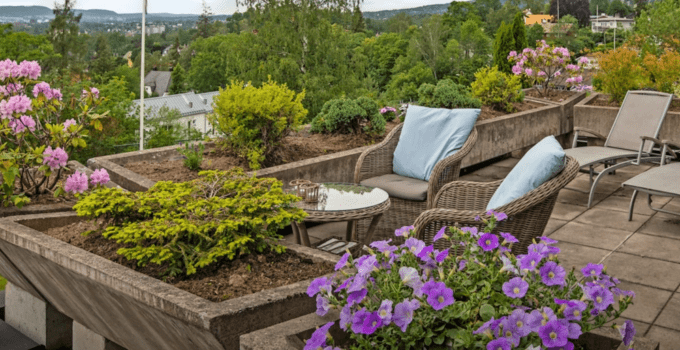 Popular questions and answers about decorating the garden