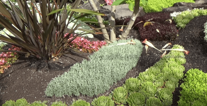 Five best landscaping ideas and tips for a small yard