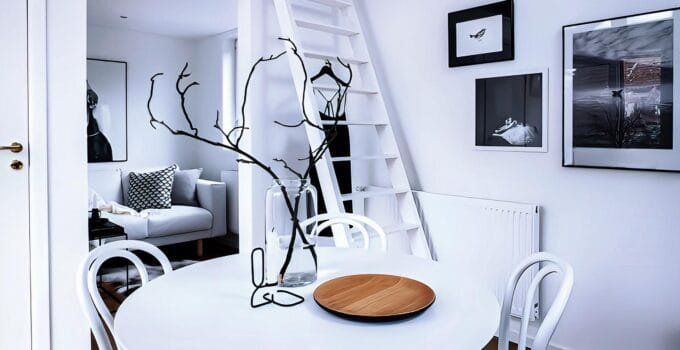 Just 226 sq ft Incredible Tiny Home in Black & White