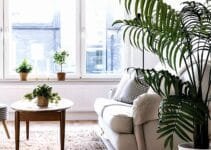 Bring Nature Inside with Beautiful Green Plants Bring Nature Inside with Beautiful Green Plants