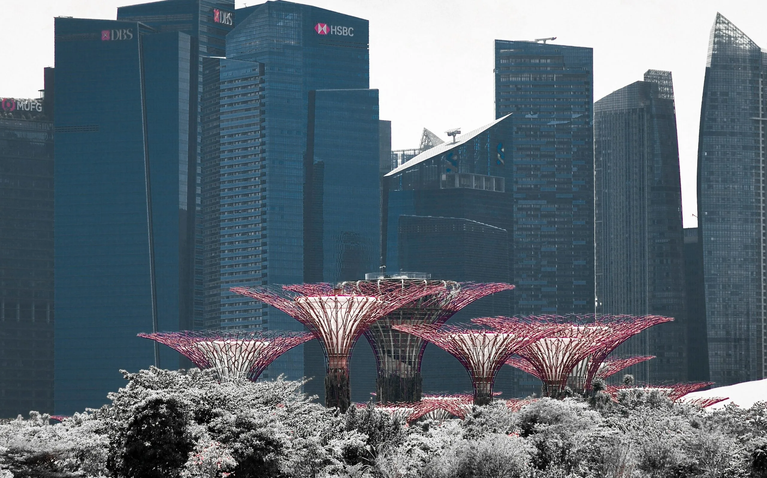 Garden Financing: How to Afford Your Dream Garden