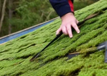 How to Remove Moss from Your Roof: 3 Effective Methods How to Remove Moss from Your Roof: 3 Effective Methods