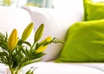 The Serenity of Green and White Living Rooms