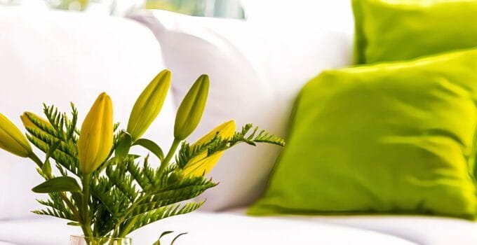 The Serenity of Green and White Living Rooms